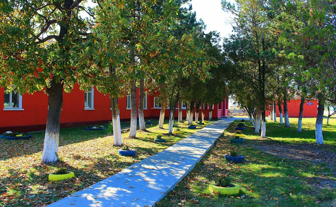 Școala Gimnazială „Ion I. Graure” Bălteni